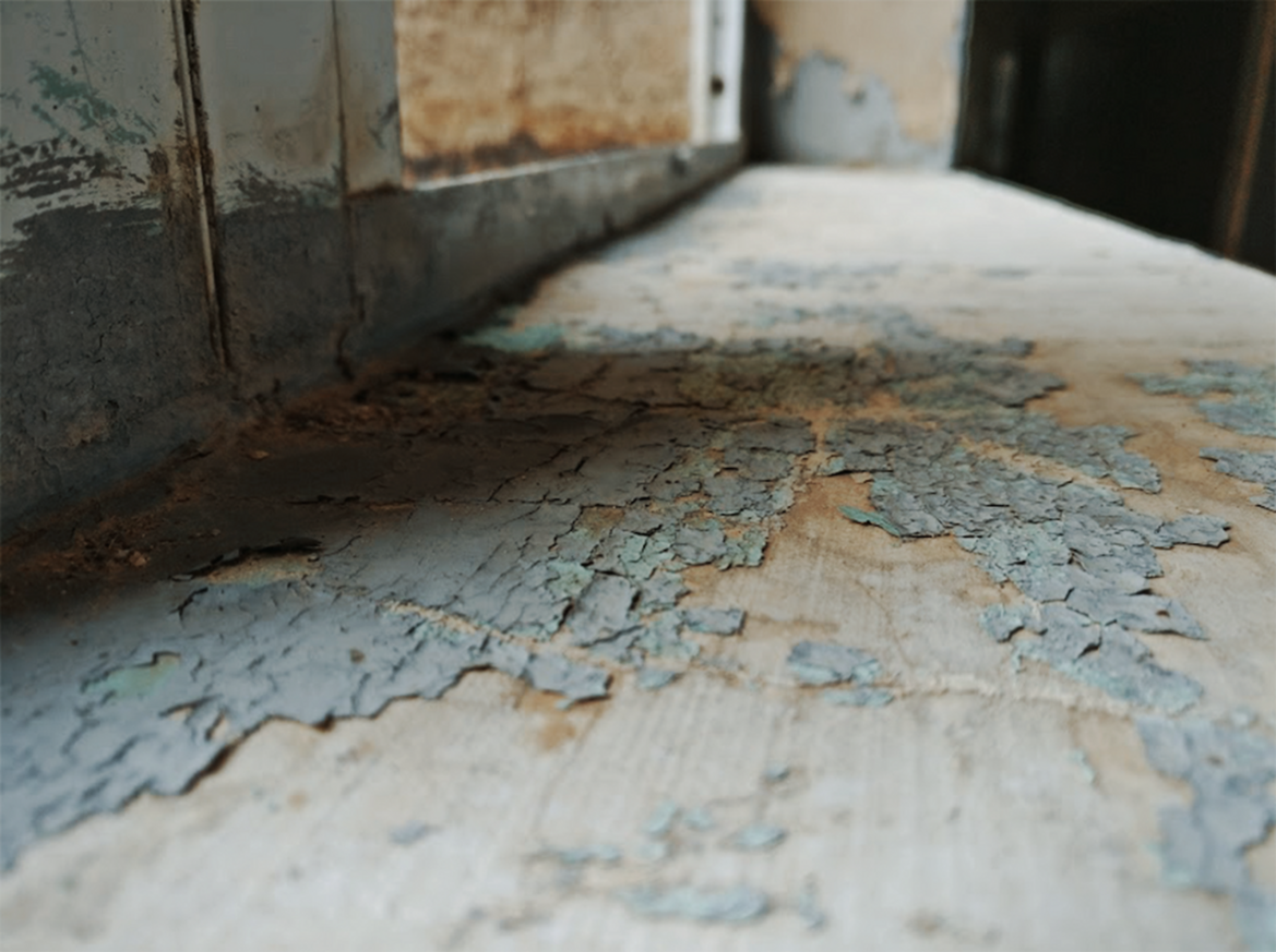 scriptum, archive image 2