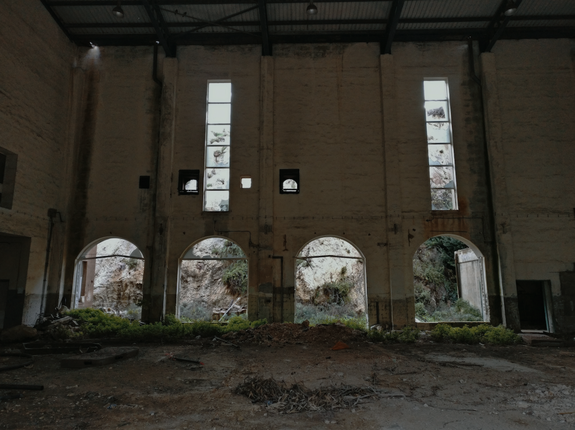 scriptum, archive image 9